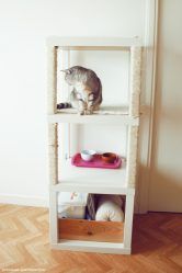 Bagaimana untuk membuat rumah untuk kucing dengan tangan anda sendiri langkah demi langkah? 150+ (gambar) kayu, kadbod, kotak, dengan pengikis