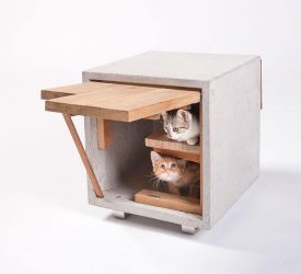 كيف تصنع منزلًا للقطط بيديك خطوة بخطوة؟ 150+ (الصورة) من الخشب والكرتون والصناديق ، مع مكشطة