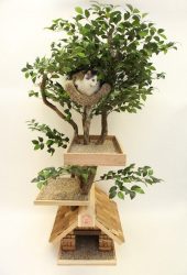 Cum sa faci o casa pentru o pisica cu mainile tale pas cu pas? 150+ (fotografie) din lemn, carton, cutii, cu racleta