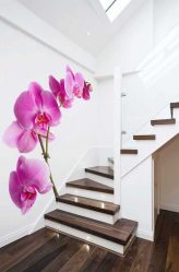 Fototapete im Inneren des Apartments / Hauses: (140+ Fotos) von hellen und herrlichen Kombinationen