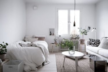 Zonage du salon et de la chambre dans la même pièce (235+ Design Photos): utilisez cet espace avec avantage et commodité