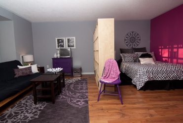 Zonering van de woonkamer en slaapkamer in dezelfde kamer (235+ ontwerpfoto's): gebruik de ruimte met voordeel en gemak