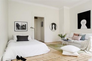 एक ही कमरे में रहने वाले कमरे और बेडरूम का ज़ोनिंग (235+ डिज़ाइन फ़ोटो): लाभ और सुविधा के साथ अंतरिक्ष का उपयोग करें