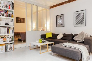 Aynı odada oturma odası ve yatak odasının imar edilmesi (235+ Tasarım Fotoğrafları): alanı fayda ve rahatlıkla kullanın