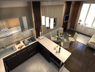 Küchendesign-Wohnzimmer in einem Privathaus (200+ Fotos): Designtechniken und Budgetierungsmethoden der Transformation