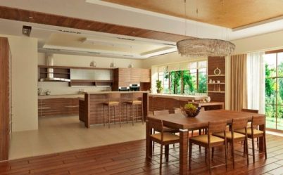 Kökdesign vardagsrum i ett privat hus (200 + bilder): designteknik och budgetmetoder för transformation