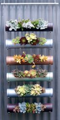 Функционални саксии за цветя - 195+ (Снимка) Идеи, които трансформират интериора (етаж / маса / висулка)