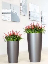 Vasi da fiori funzionali - 195+ (Foto) Idee che trasformano l'interno (pavimento / tavolo / pendente)