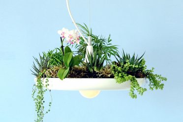 Pot bunga fungsional - 195+ (Foto) Idea yang mengubah bahagian dalam (lantai / meja / dinding)