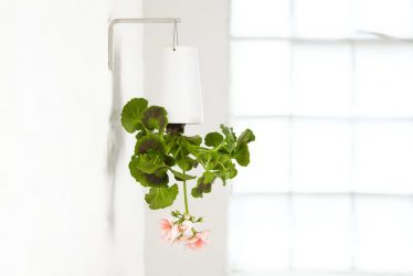 Pots de fleurs fonctionnels - 195+ (Photo) Des idées qui transforment l’intérieur (sol / table / mur)