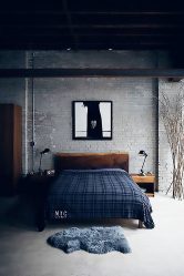 내부의 벽돌 벽 - 가정을 변화시키는 멋진 방법 (260 개 이상의 사진). 거실, 부엌, 침실에서의 조합