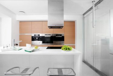 Indeling Keuken in een woonhuis: 175+ Foto's Verschillende stijlen, kleuren en comfort