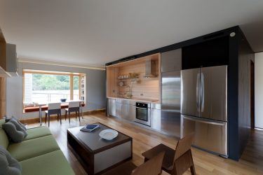 Intérieur de la cuisine combiné avec le salon (180+ Photos): astuces de conception et secrets de placement