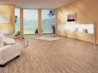 Linoleum di pedalaman - penyelesaian mudah dan asli sebagai penutup lantai. 220+ (Foto) IDEAS terbaik untuk ruang tamu, dapur, bilik tidur