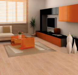 Linoleum di pedalaman - penyelesaian mudah dan asli sebagai penutup lantai. 220+ (Foto) IDEAS terbaik untuk ruang tamu, dapur, bilik tidur