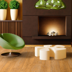 Linoléum à l'intérieur - une solution simple et originale comme revêtement de sol. 220+ (Photos) Meilleurs idées pour salon, cuisine, chambre à coucher