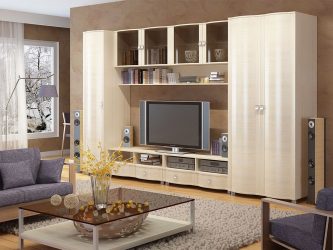 Mobili per il soggiorno in stile moderno (più di 115 foto): tutto ciò che devi sapere per creare un design elegante