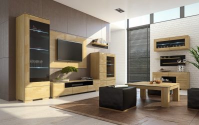 Comment choisir un mobilier moderne et mettre à jour l'intérieur? 230+ Incarnation du style de fabrication de photos (salon, chambre à coucher, cuisine, couloir)