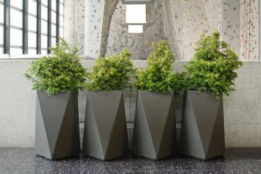 Come cambiano i vasi decorativi interni con i fiori? 130+ (foto) alto, elegante, bello