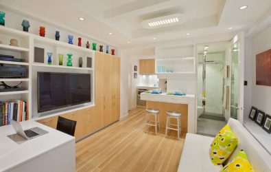 Studio Apartment: Soluções de estilo com elementos decorativos. 205+ Idéias Fotográficas de interior moderno