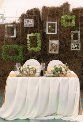 Unutulmaz bir düğün için bir salon yapma Eller (210+ Fotoğraflar) Bir kez ve tüm yaşam için!