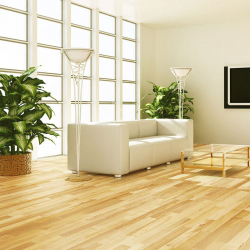 How to use parquet in the interior? How to choose? 305+ (Photos) of spectacular designs (art, herringbone, modular)