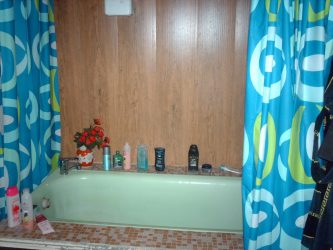 Diseñe y termine el baño con paneles de plástico 110+ Foto: una forma rápida y económica de decorar