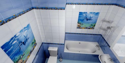 Projetar e terminar o banheiro com painéis de plástico 110+ Foto - maneira rápida e barata de decoração