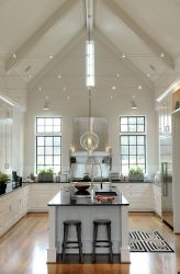 Wat is het beste plafond in de keuken? 180+ foto's De meest modieuze opties