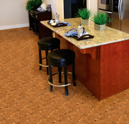 What is the cork floor in the interior? 100+ (photo) successful solution. Why choose him?