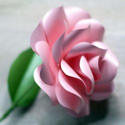 Cómo hacer rosas de papel con sus propias manos: Instrucciones paso a paso para principiantes (más de 190 fotos)