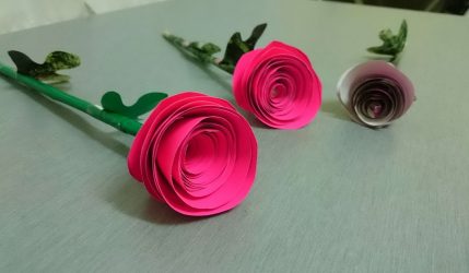 Comment faire des roses en papier avec vos propres mains: Instructions pas à pas pour les débutants (190+ photos)