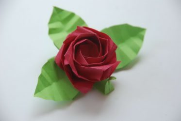 كيف تصنع الورود من الورق بيديك: إرشادات خطوة بخطوة للمبتدئين (190+ صورة)