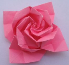 Cách làm hoa hồng từ giấy bằng tay của chính bạn: Hướng dẫn từng bước cho người mới bắt đầu (190+ Ảnh)