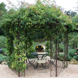 Variantes de beaux pavillons de jardin à faire soi-même (245+ Photos) - Comment se transformer en véritable décoration? (bois, métal, polycarbonate)