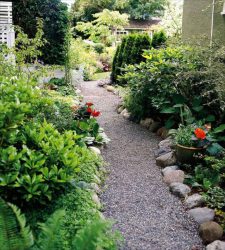 Πόσο όμορφο να κάνετε μονοπάτια κήπου με τα χέρια τους με χαμηλό κόστος; 180+ Φωτογραφίες προαστιακών επιλογών από διάφορα υλικά (πλακάκια, πλαστικό, καουτσούκ)
