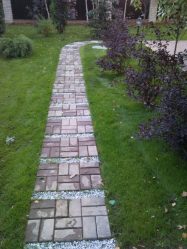 Como é bonito fazer caminhos de jardins com as próprias mãos a baixo custo? Mais de 180 fotos de opções suburbanas de diferentes materiais (telhas, plástico, borracha)
