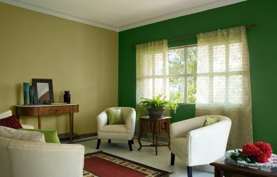 La combinación del color verde claro en los modernos interiores de moda: 185+ (Foto) Diseño para la cocina, sala de estar, dormitorio
