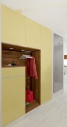 Design modern al dulapurilor din hol: 95+ Fotografii - Idei pentru renovarea interiorului