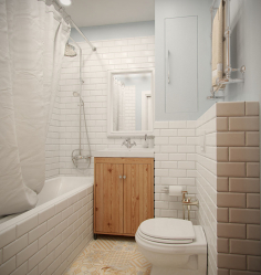 الحمامات الاسكندنافية: البساطة والراحة والراحة (200+ صورة). إنشاء منطقة الراحة لنفسك