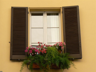 खिड़कियों (लकड़ी, धातु, प्लास्टिक) के लिए शटर की मदद से घर के मुखौटे के परिवर्तन के सफल उदाहरण। इसे सरल और सुंदर बनाएं (+ समीक्षाएं)