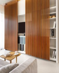 الجدران الحديثة في غرفة المعيشة (370+ صور): نمط الغرفة الحديثة