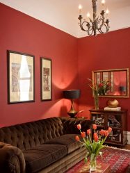 Terracotta Color in the Interior - From the beginnings to the present day. 195+ (Photos) Compatibility of bright colors