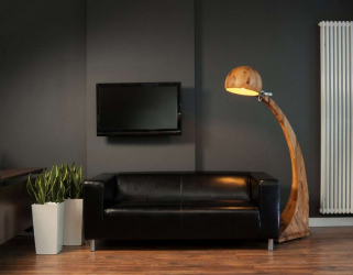 Staanlamp in het huis: een decorelement of een manier om stijl en comfort te creëren? 200+ (Foto's) vloeropties voor woonkamer, slaapkamer en keuken