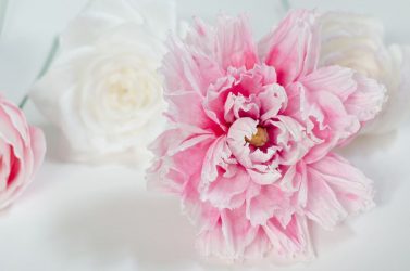 ¿Cómo hacer flores de papel corrugado con dulces con tus propias manos? Master class +75 fotos de ramos de lujo.