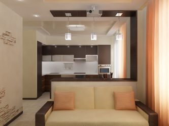 Más de 230 fotos Ideas interiores 1er (habitación) Apartamentos de 40 metros cuadrados.Diseño moderno simple y elegante.