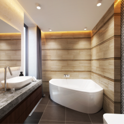 Modă design baie fără toaletă (+100 Fotografii) - Frumusețe combinate cu confort