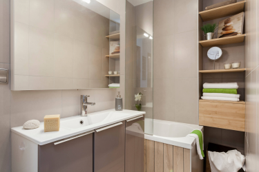 शौचालय के बिना फैशनेबल बाथरूम डिजाइन (+100 तस्वीरें) - सौंदर्य आराम से संयुक्त