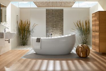 शौचालय के बिना फैशनेबल बाथरूम डिजाइन (+100 तस्वीरें) - सौंदर्य आराम से संयुक्त