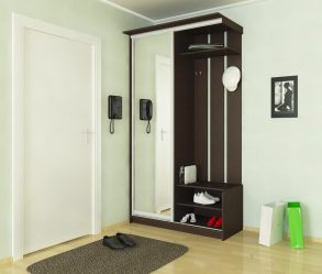 Вграден гардероб в коридора: 170+ Снимки на дизайн и идеи. Научете се как да организирате пространството